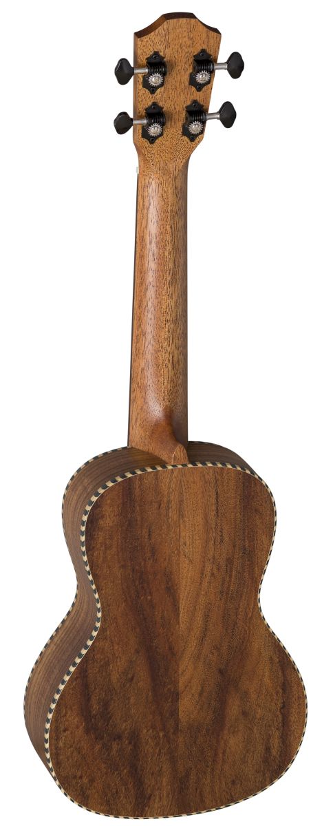 155690_02_br_uv91_c_nr_back