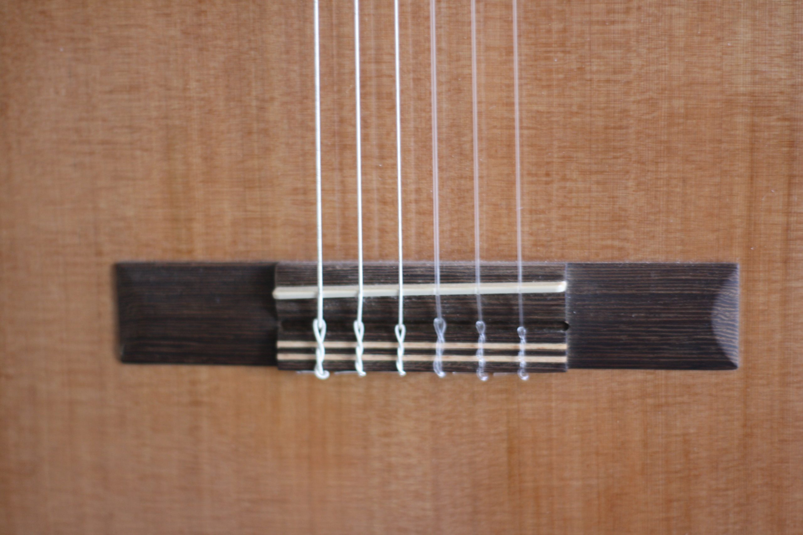 29E1404C-EFC6-4C8A-B947-BF1601BB8898-scaled-1