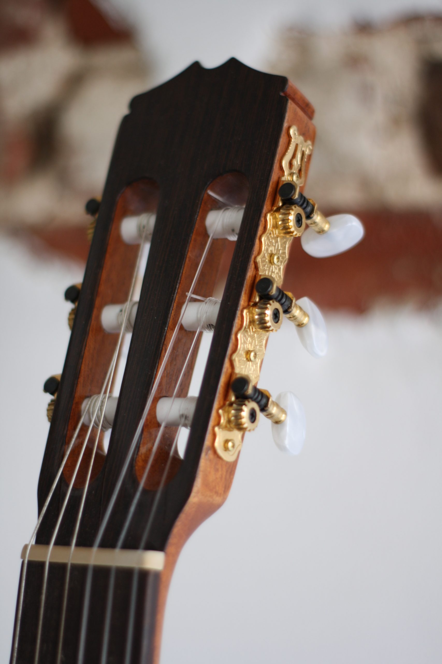 6EAF9F60-EAAE-424F-8D0E-F5821EFB4073-scaled-1