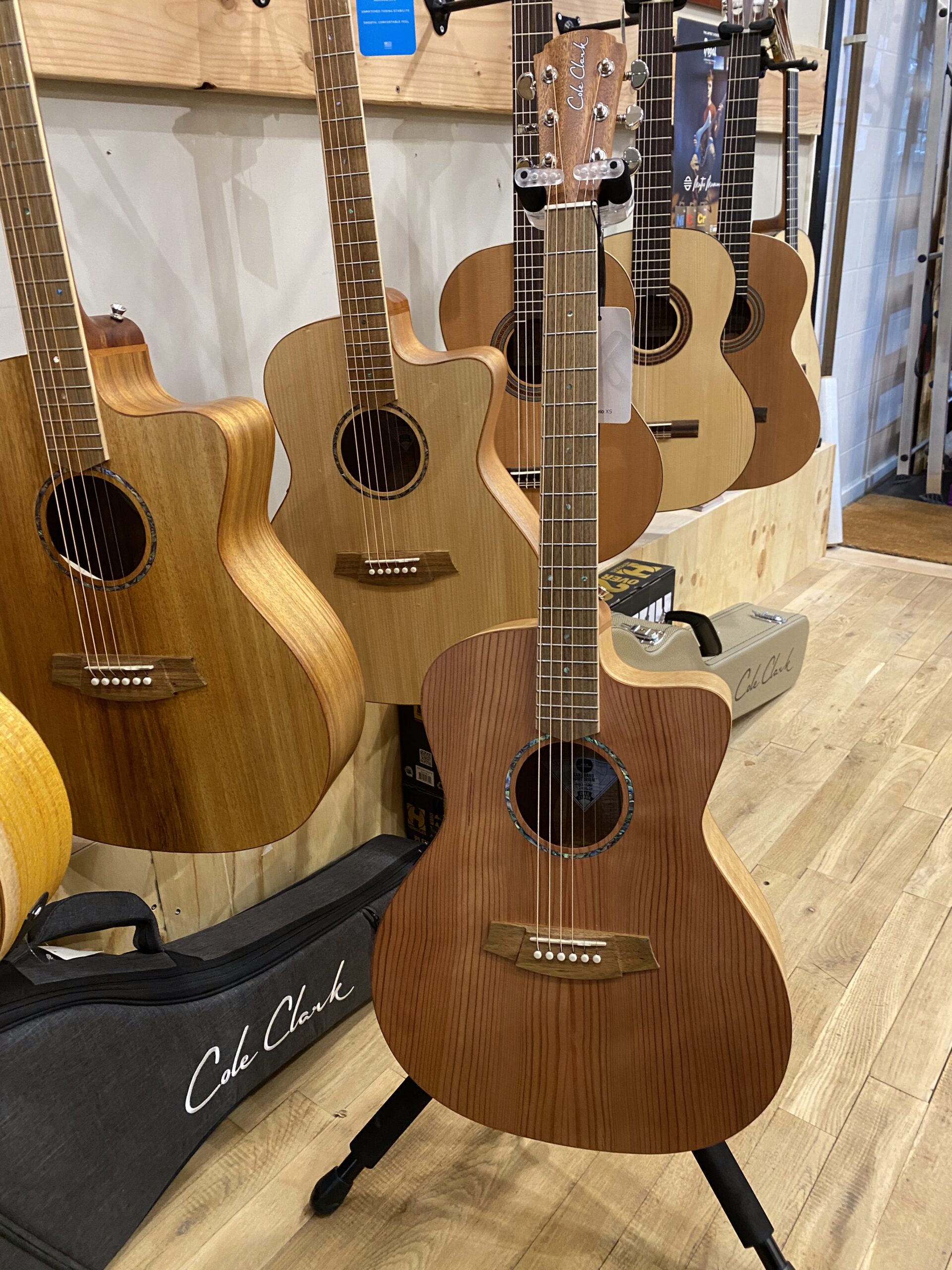 Cole Clark SAN1EC-RDSO studio