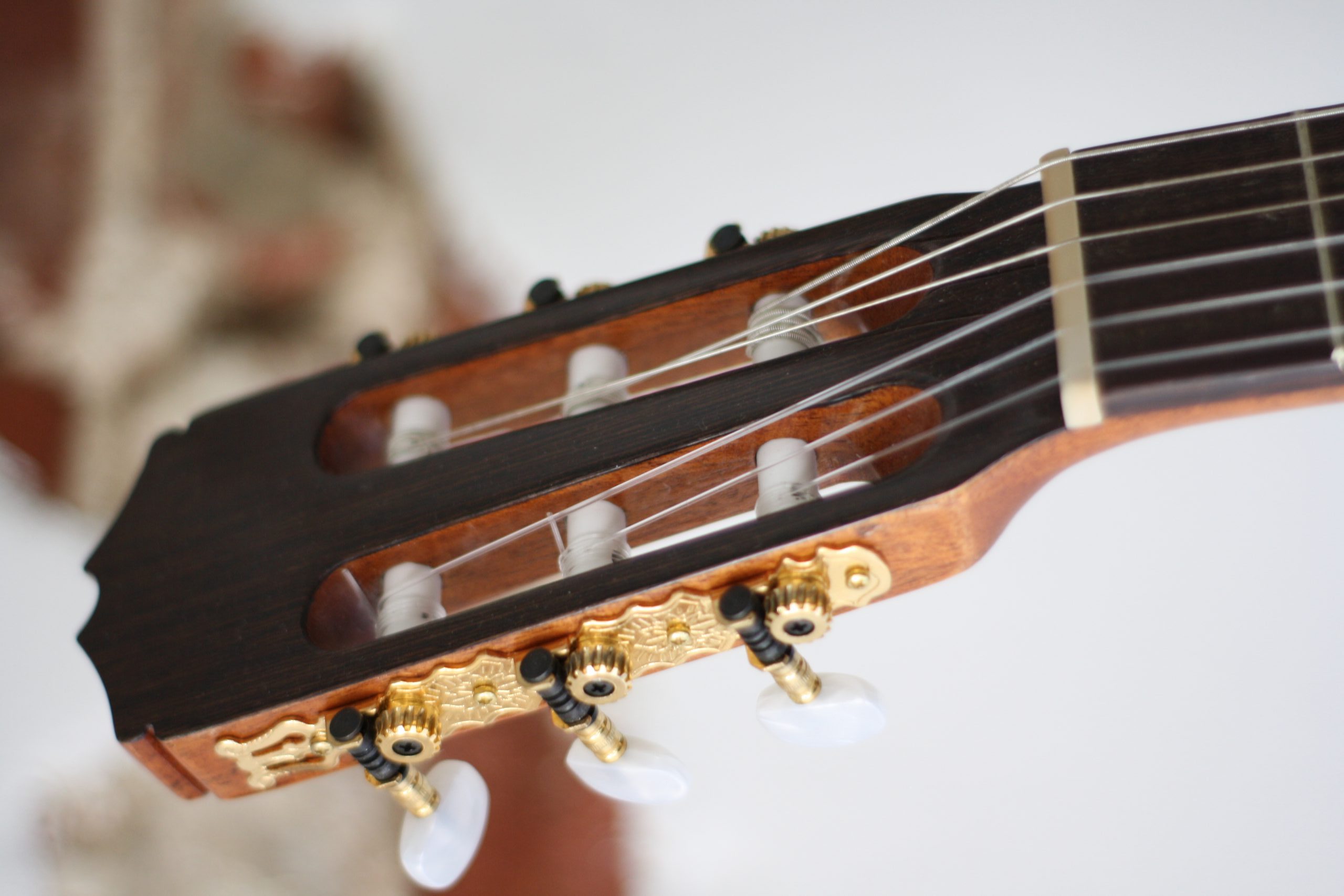 D65B889B-0D77-422C-B2F7-F19E5C4DF907-scaled-1-e1655885450430