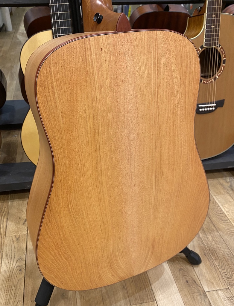 Tyrone Special D Gelditschie (4)