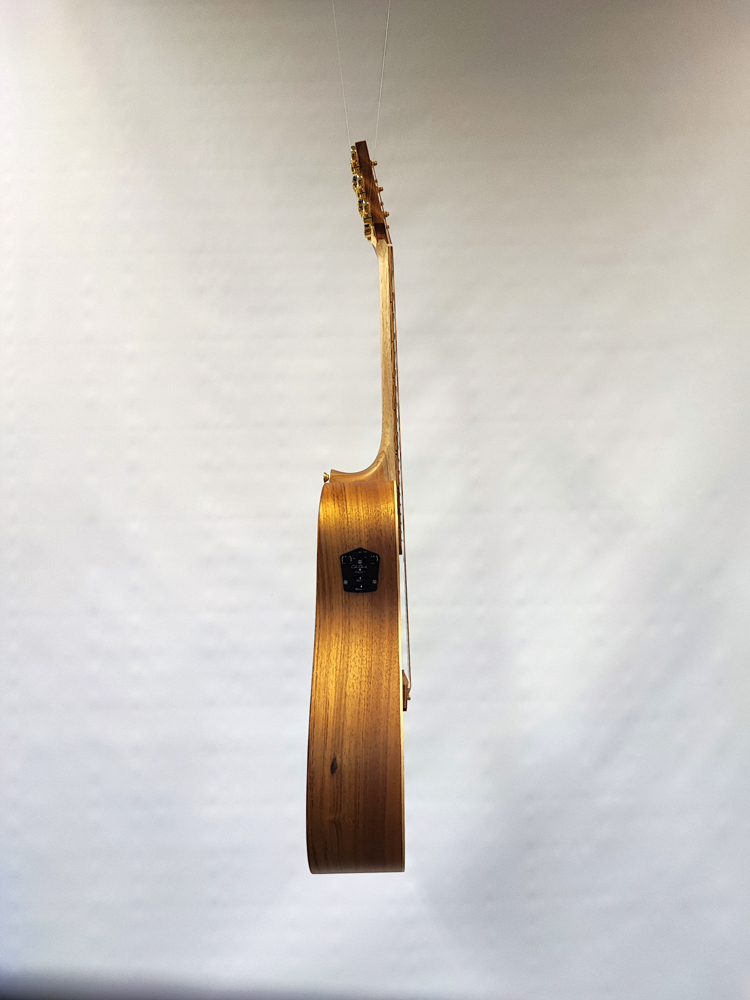 cole clark FL2EC BLBL_side