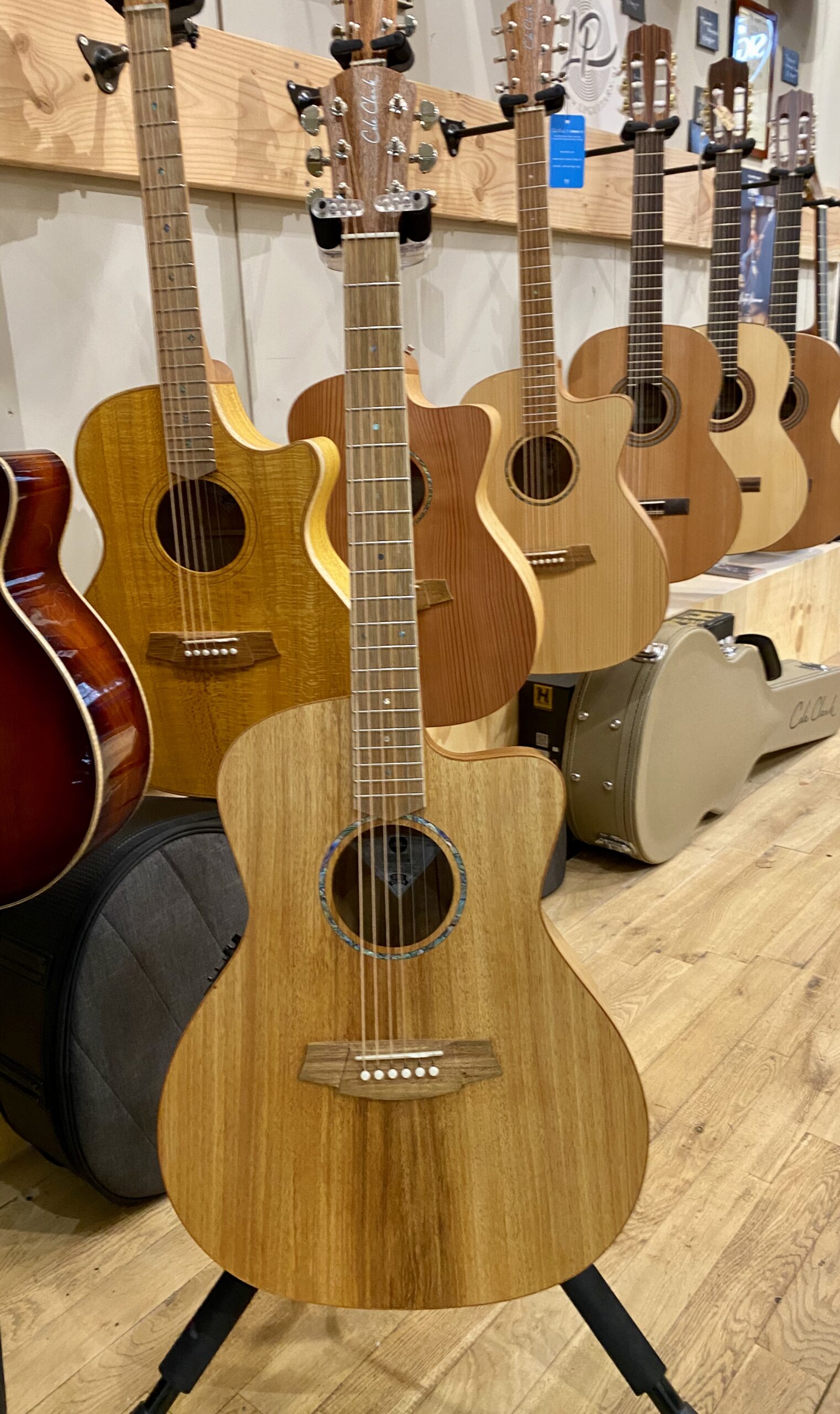 Cole Clark SAN1EC-BLBL studio